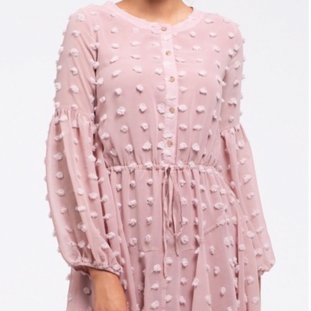 Blu Pepper Dusty‎ Rose Swiss Dot Long Sleeve Ruffle Dress Women's S Cottagecore